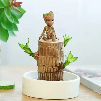 LUCKY-WOOD : L'ARBRE QUI GRANDIT AVEC VOUS