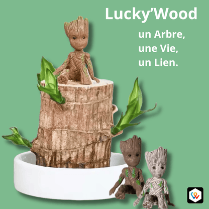 LUCKY-WOOD : L'ARBRE QUI GRANDIT AVEC VOUS